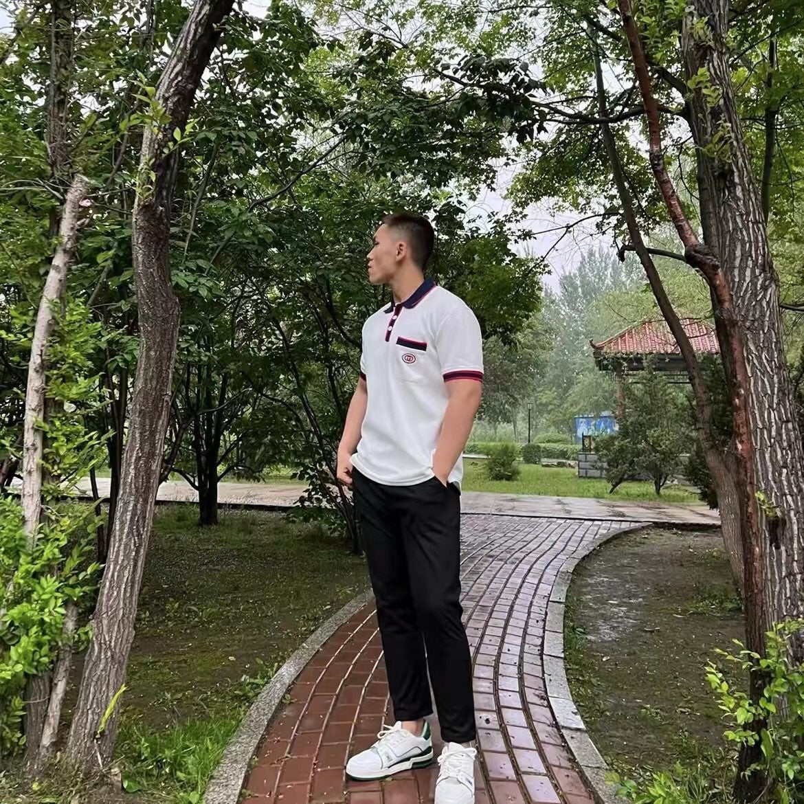Gucci Polo Shirt with Web Collar (White) - Phantom Kicks
