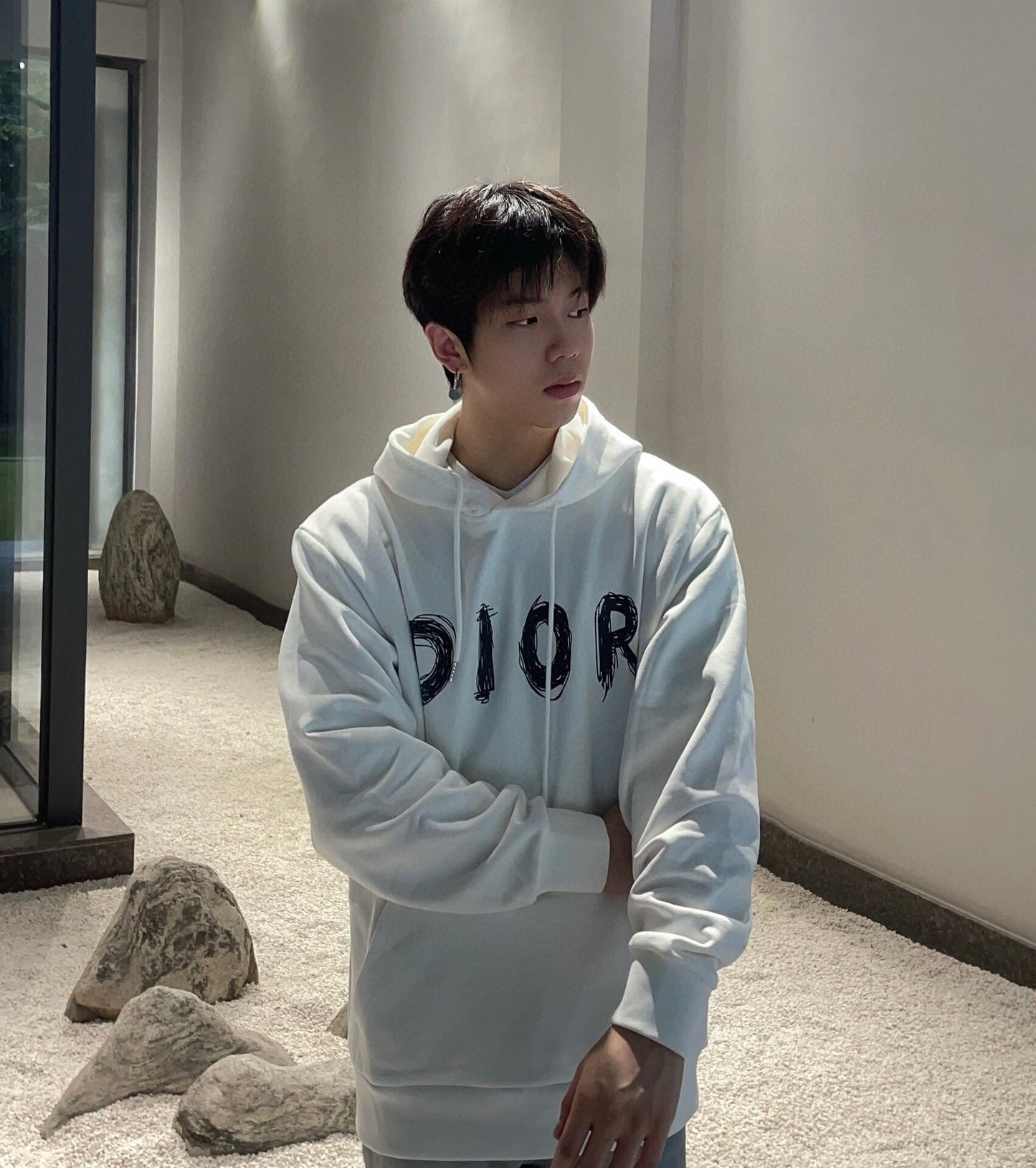 Dior Brushstroke Hoodie - Phantom Kicks