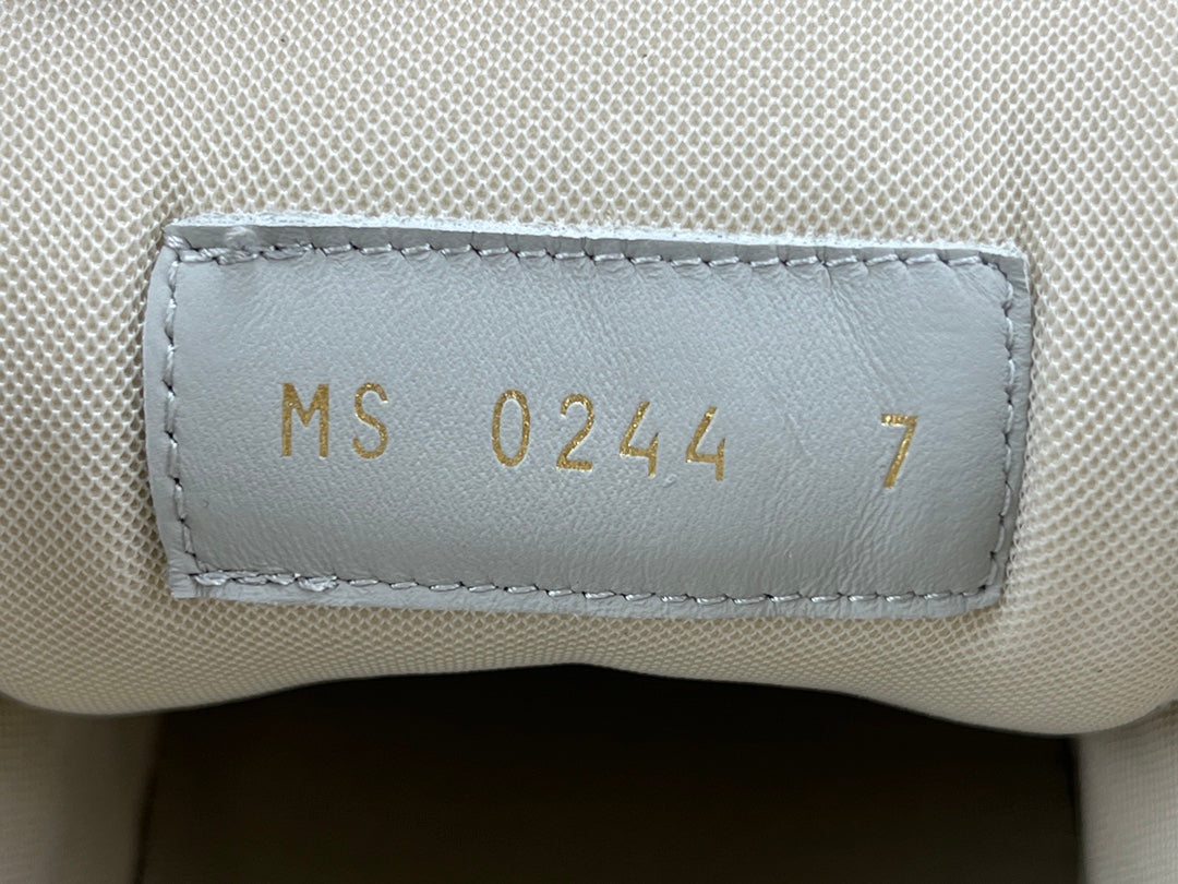 LOUIS VUITTON LV TRAINER SNEAKER - Phantom Kicks