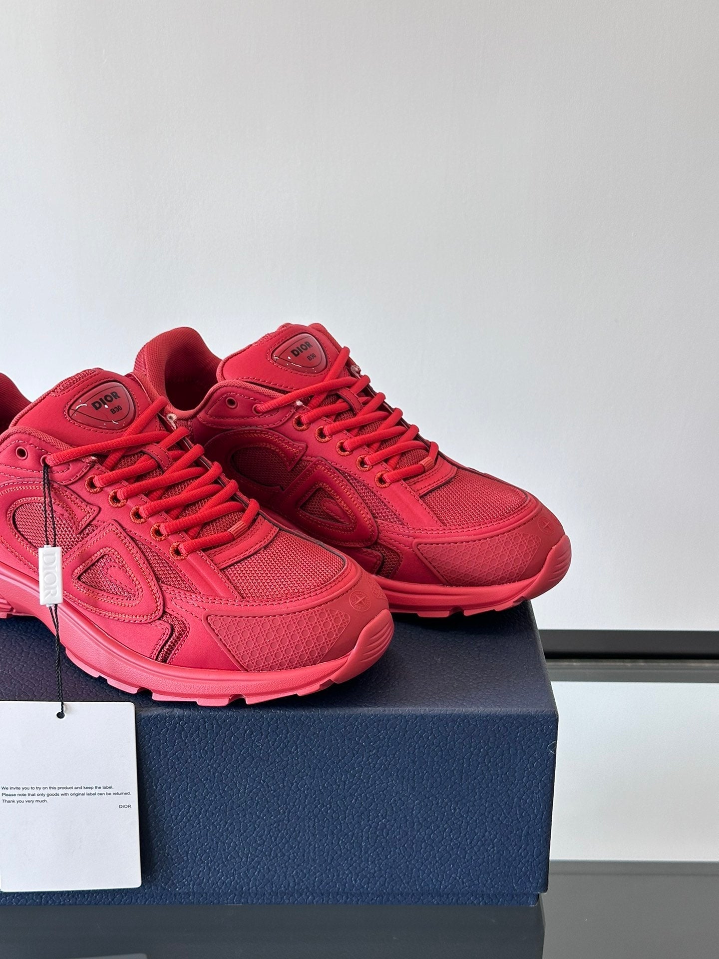 STONE ISLAND x DIOR B30 RED - Phantom Kicks