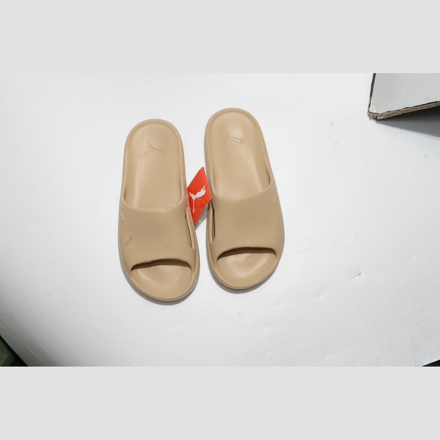 PUMA SHIBUI CAT SLIDE x KHAKI LIGHT SAND - Phantom Kicks